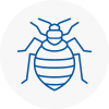 Bed Bug Extermination In Shipley